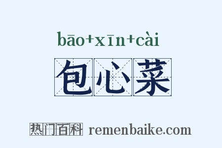 包心菜是什么意思的图片